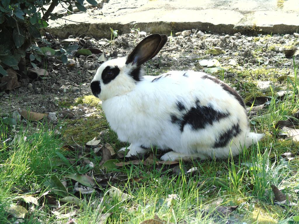 토티 Agriturismo Poponi 빌라 외부 사진